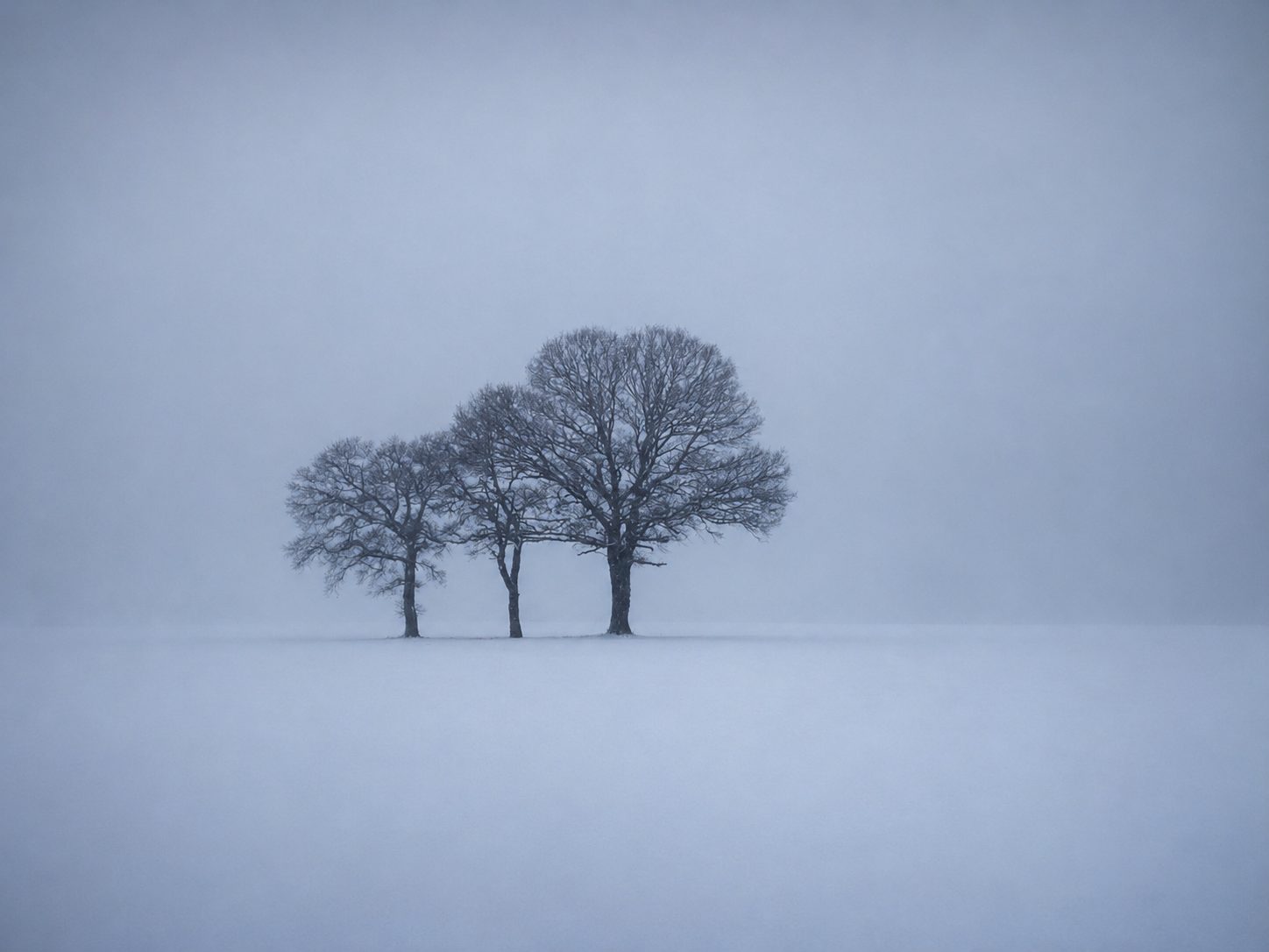 Three Who Wait at the Far Bank